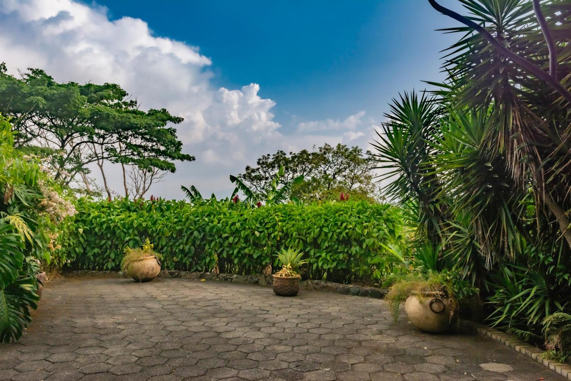 Finca Rosa Blanca Coffee Farm And Inn 埃雷迪亚 外观 照片